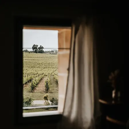 Chateau La Grande Clotte Lussac (Gironde)