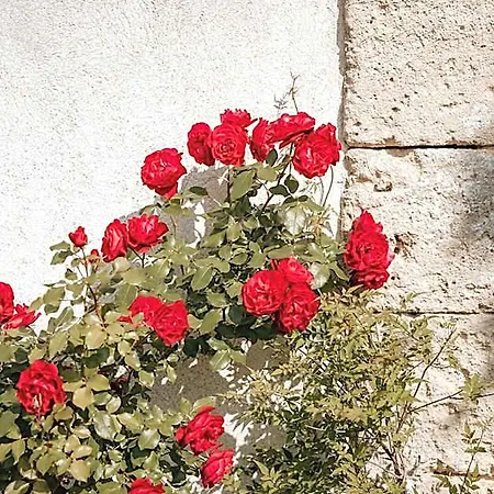 Bed & Breakfast Chateau La Grande Clotte 3*