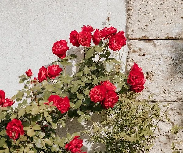 Chateau La Grande Clotte 3* Lussac (Gironde)